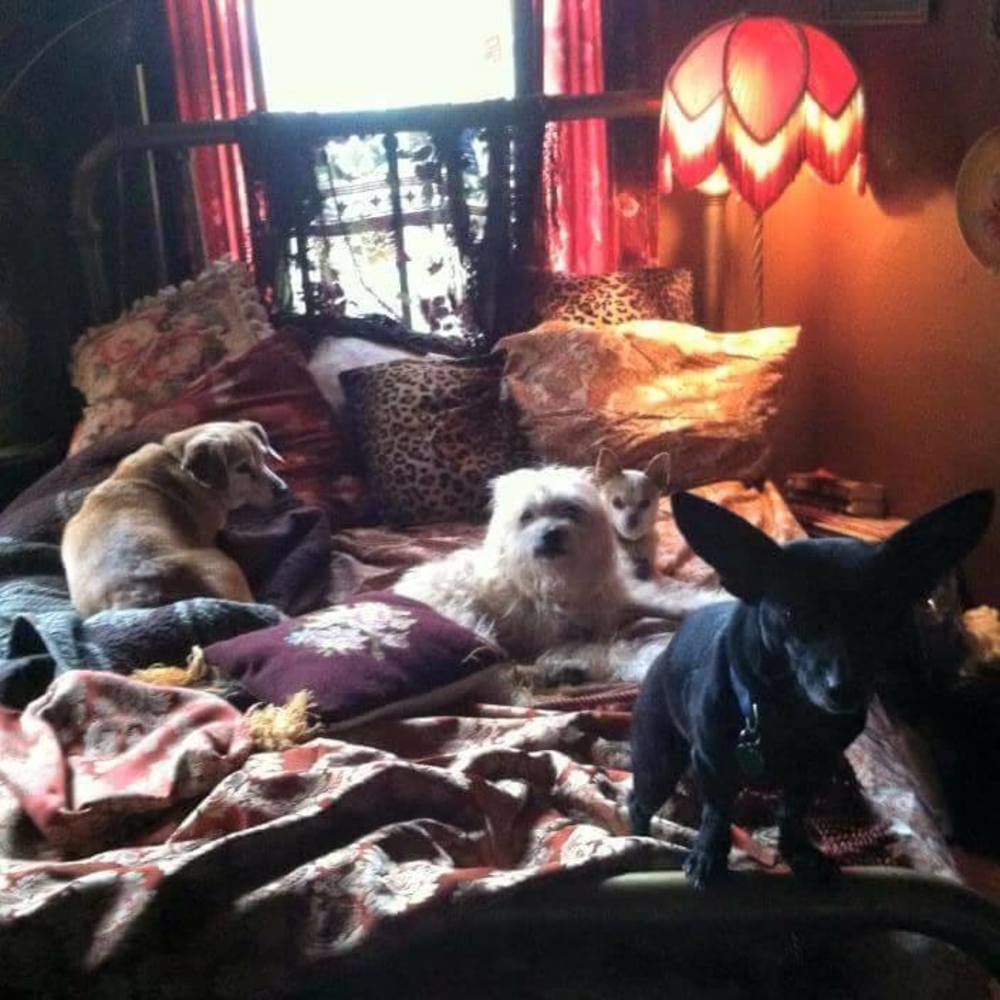 Meet your Posher, Verna m